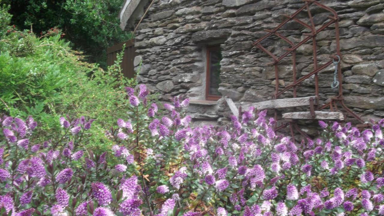 Stepping Stone Bed And Breakfast Glencar Exterior photo